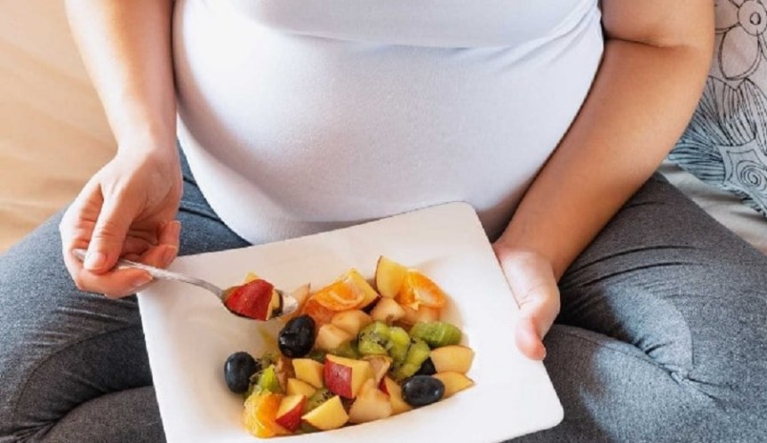 Nourishing Intelligence: A Deeper Look into the Art and Science of Nutrition &&nbsp;Diet